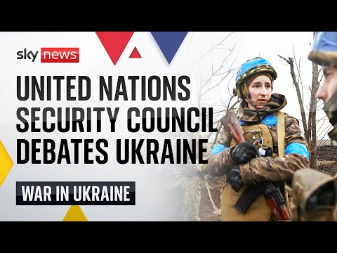 Watch live: United Nations Security Council debates situation in Ukraine