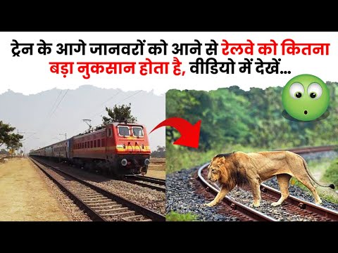 ट्रेन के आगे जानवरों को आने से रेलवे को कितना नुकसान होता है | The Train Fact #shorts #train