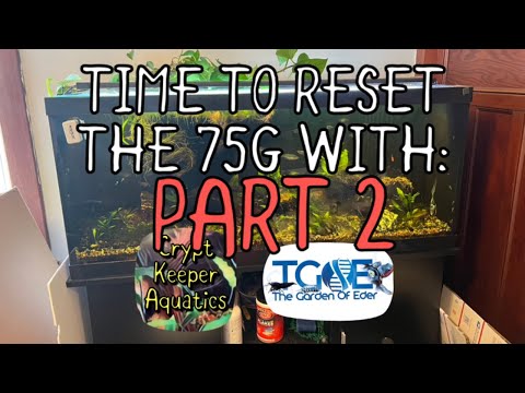 Rescaping the 75G aquarium Part 2 
