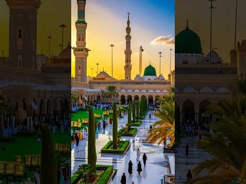 #rozarasool 🥰🥀🥀🥀😘😘😘❤️❤️❤️❤️