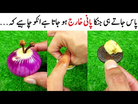 Quick & Tasty Onion Masala Recipe By MrDesi | Masala Pyaz Recipe | Laccha Pyaz