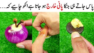 Quick & Tasty Onion Masala Recipe By MrDesi | Masala Pyaz Recipe | Laccha Pyaz