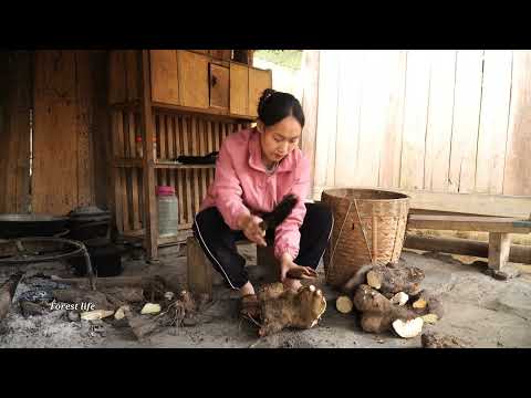 3 years living off the grid, Harvesting yams, Daily life of mother and daughter