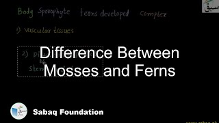 Difference Between Mosses and Ferns