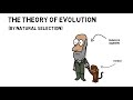 Exploring the Theory of Evolution and Natural Selection
