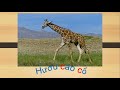 Understanding Vietnamese Words