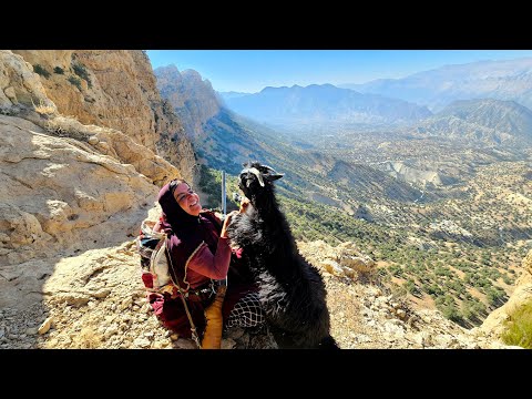 🐐 Deadly Cliffs and a Rescue: ⛰️A Dangerous Quest on the Highest and Most Stunning Peak