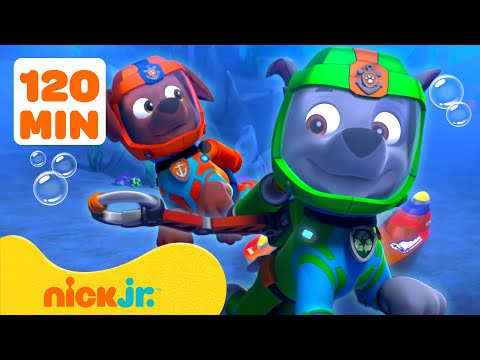 Patrulha Canina | 2 HORAS dos Melhores Resgates de Praia da Patrulha Canina! 🌊☀️ | Nick Jr.
