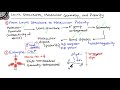 Molecular Polarity and Bond Dipoles