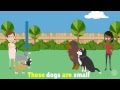 Demonstrative Pronouns Explained