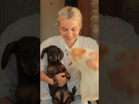 Самые лучшие друзья 🐕🐈❤️