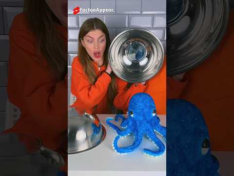 Octopus🐙 Choclate 🍫 | New Viral Gadgets, Smart Appliances, Kitchen Utensils/ Home Inventions #shorts
