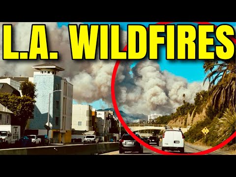 Wildfire Evacuations Begin in Los Angeles - Bubba the Love Sponge® Show | 1/8/25