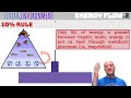 Exploring Energy Flow Concepts