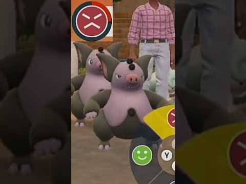 thumbnail_BdCDtxrsk1I