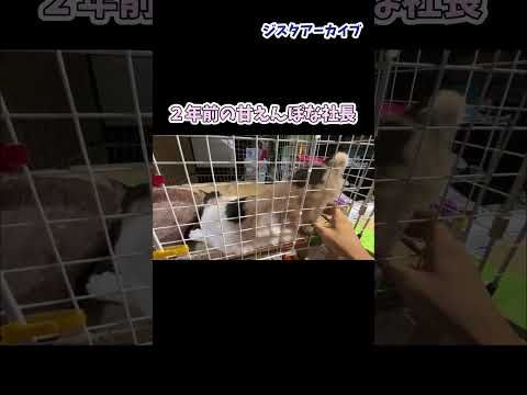 thumbnail_BdDzJ02AWeE