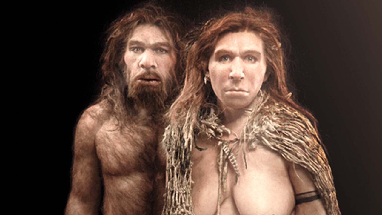 A Day In The Life Of A Neanderthal - A Day In History