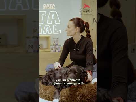 Eze Campa frenó y rescató. #dataanimal