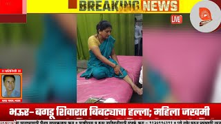भऊर–बगडू शिवारात बिबट्याचा हल्ला; महिला जखमी