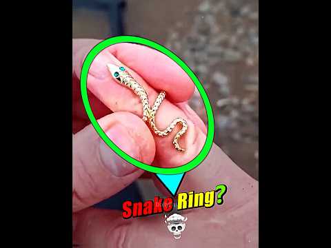 Amazing Treasure Finds🐍☠️