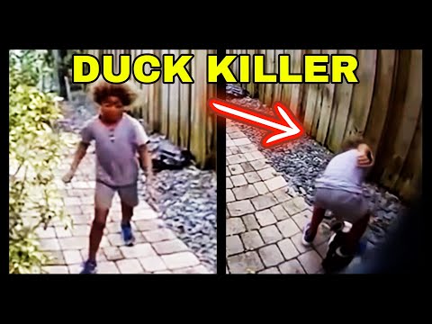 $5,000 REWARD For Kid Who STOMPED Duck To Death