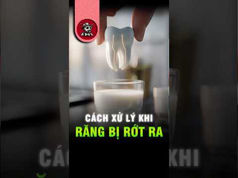 🦷 Răng Bị Rơi Ra? Cách Xử Lý Đúng Để Cứu Răng Thành Công! | Kiến Sĩ #shorts #kiếnsĩ