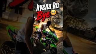 Hyena ku Bye 🥲 #heart_racer_rc #hr #yashvi