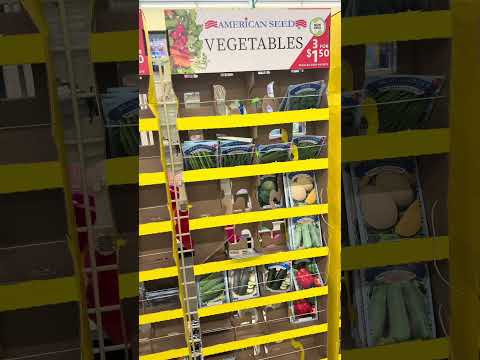 Let go prepping at the dollar tree #prepper