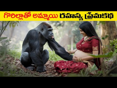 గొరిల్లాతో అమ్మాయి రహస్య ప్రేమకథ The Mysterious Love Story of a Gorilla and a Girl