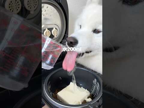 もずくスープつくったら爆食してくれました!