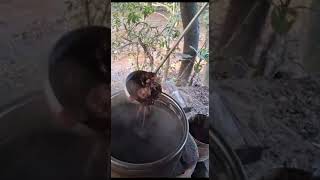a brincadeira no peixeiro teve boa foi só pinga q desceu kkkk