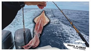 Rigging SQUID to TROLL Offshore *Fishing* {Catch Clean Cook}