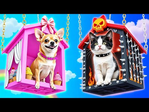 Construí um Zoológico dos Sonhos para os Pets que Adotei! Truques Legais para Tutores de Pets