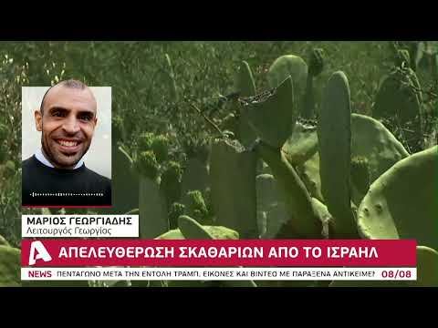 «Μάχη» για τη διάσωση της παπουτσοσυκιάς