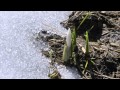 Climate Change and Biodiversity Concepts