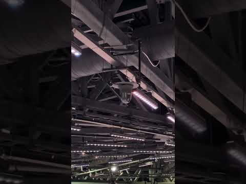 САМЫЙ БОЛЬШОЙ МАКЕТ МОСКВЫ В МОСКВЕ