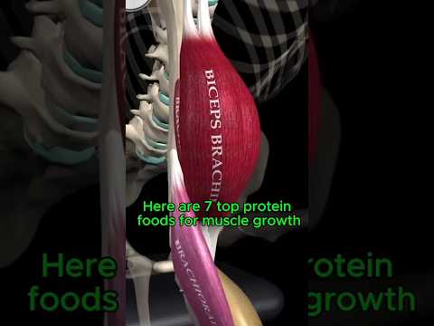 Here are 7 top protein foods for muscle growth #health #healthtips #healthy #food #explore #facts