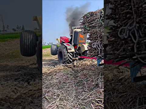🥵Bhokali टोचन || Nishu😍Bhai💔ka 5050d🚜 v⚡️s  New Holland 3630 🇳🇱|| #nishudaswal #nimmo