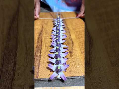 কাঁচি দিয়ে আকন্দ ফুল কাটলে কি হয় 😄#shortsvideo