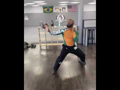 MightyMouse Perfectly Impersonating Fighters