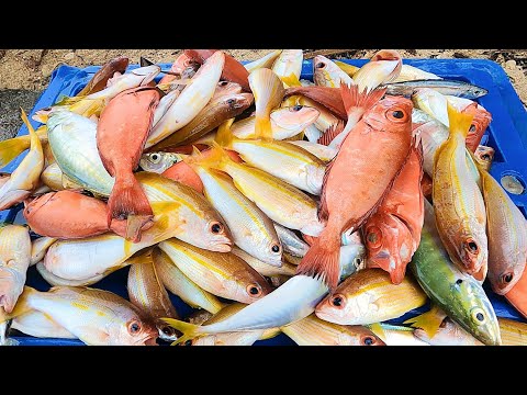 Ganito agad karami ang nahuli namin sandaling oras lang