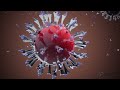 Understanding mRNA Vaccines and Immune Response