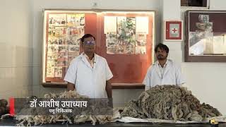 उत्तर प्रदेश में गौरक्षा: संरक्षण से आत्मनिर्भरता तक