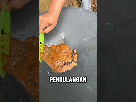 Genangan penuh dengan...