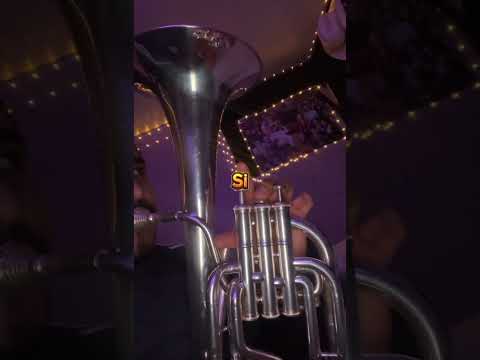 Escala de “Mi Menor” para Charcheta #reels #regionalmexicano #parati #fy #musictheory #shorts