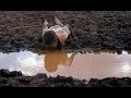 Relação dos Humanos com a Natureza