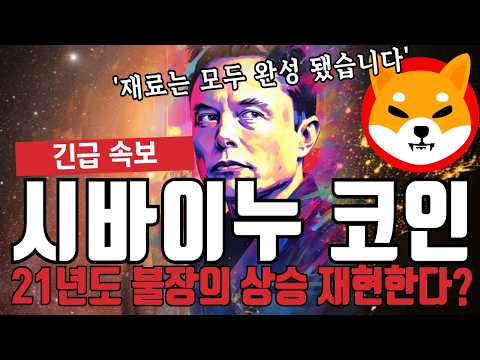 시바이누 <strong>코인</strong> 21년도 불장의 상승 뛰어 넘습니다