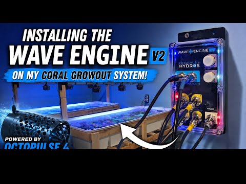 Hydros Wave Engine 2: Unboxing and Full Installation
