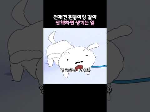 천재견 흰둥이랑 같이 산책하면 생기는 일 #짱구는못말려 #짱구