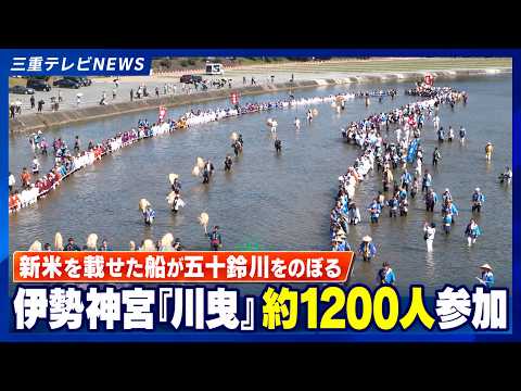 新米を載せた船が五十鈴川をのぼる　伊勢神宮の「川曳」に約1200人参加